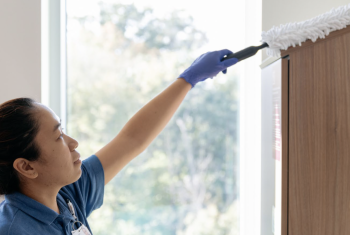 Screenshot 2026-02-11 at 3.50.54 PM